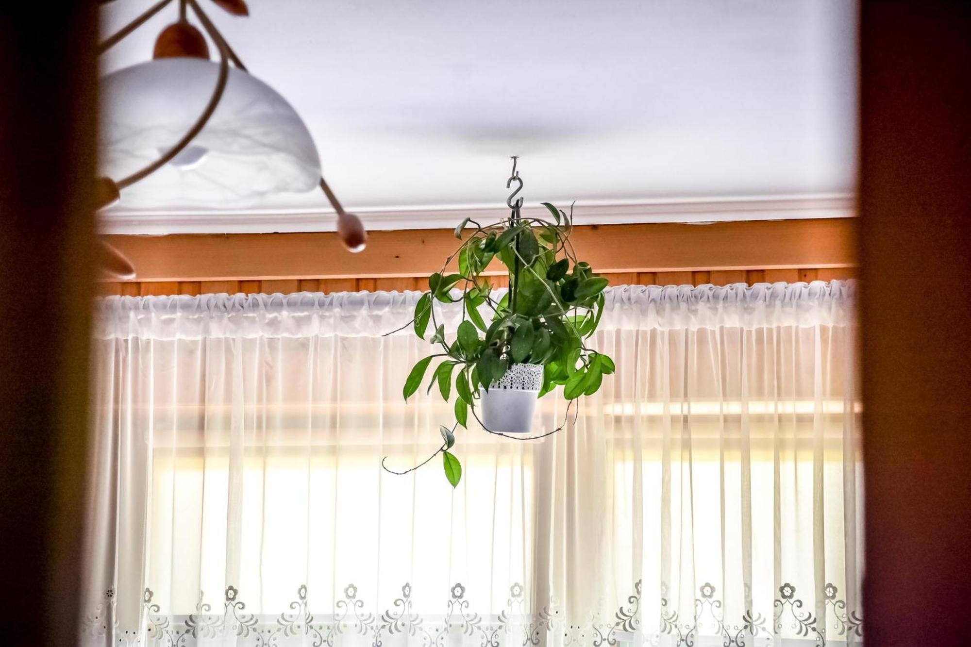Rysiowka Apartment Poronin Luaran gambar