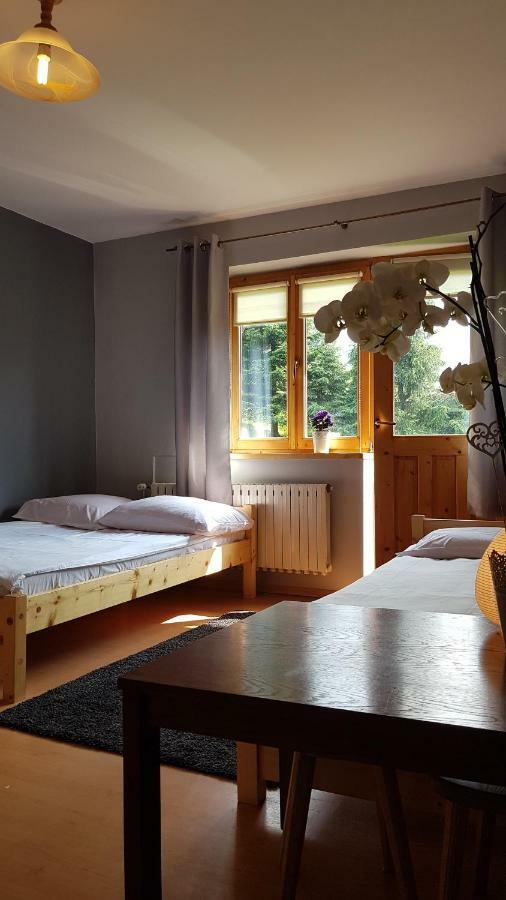 Rysiowka Apartment Poronin Luaran gambar